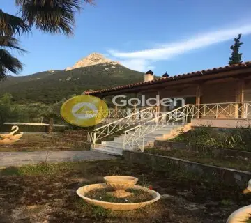 House 270m<sup>2</sup> for sale photo 69