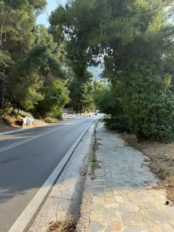 Οικιστικό 800τ.μ. προς πώληση φωτογραφία 3