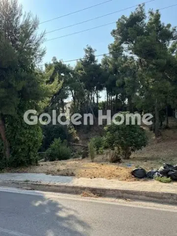 Οικιστικό 800τ.μ. προς πώληση φωτογραφία 15