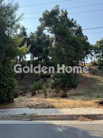 Οικιστικό 800τ.μ. προς πώληση φωτογραφία 17