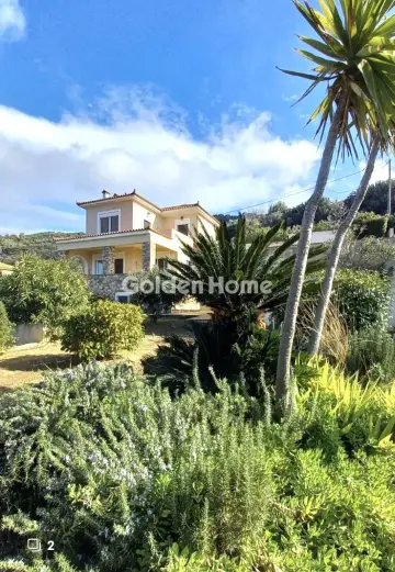 Golden Home Property Image