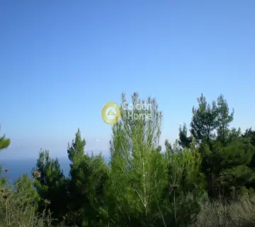 住宅 2333m<sup>2</sup> for sale photo 15