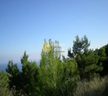 住宅 1284m<sup>2</sup> for sale photo 12