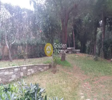 Μεζονέτα Ανεξάρτητη 333τ.μ. προς πώληση φωτογραφία 4