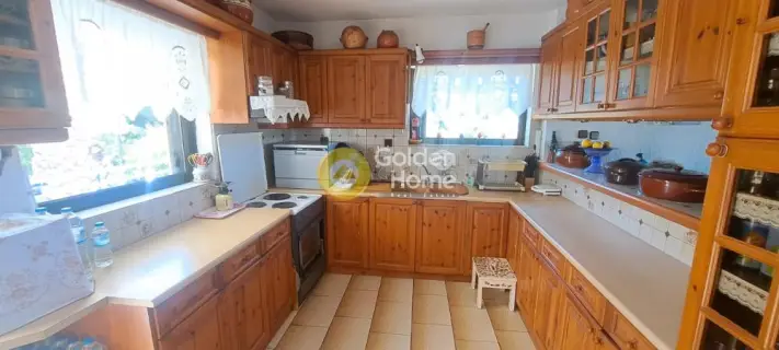 Μονοκατοικία 400τ.μ. προς πώληση φωτογραφία 71