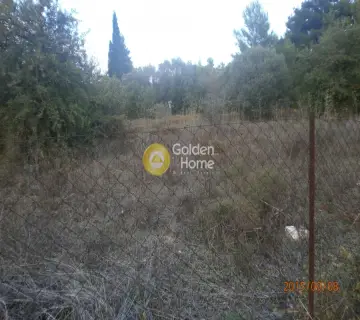 住宅 1000m<sup>2</sup> for sale photo 4