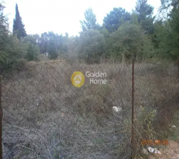 住宅 1000m<sup>2</sup> for sale photo 5