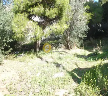 Residential 607m<sup>2</sup> for sale photo 5