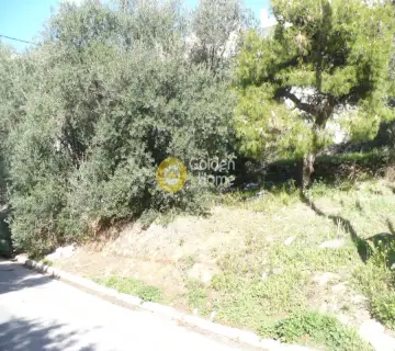Residential 607m<sup>2</sup> for sale photo 2