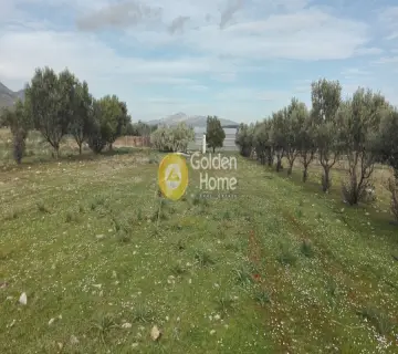 Residential 4000m<sup>2</sup> for sale photo 1