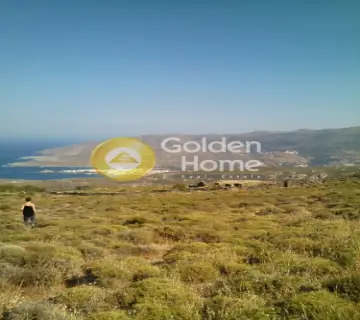 Οικιστικό 12500τ.μ. προς πώληση φωτογραφία 2