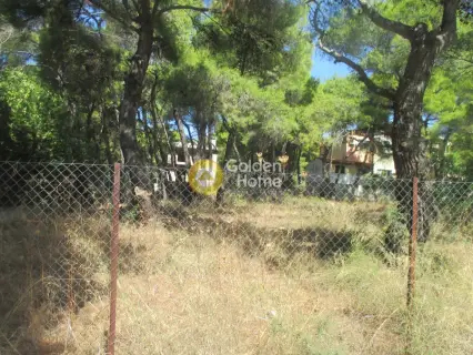 住宅 1000m<sup>2</sup> for sale photo 2