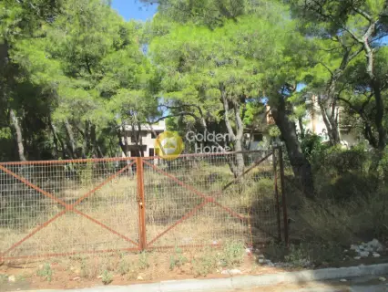 住宅 1000m<sup>2</sup> for sale photo 3