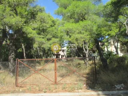 住宅 1000m<sup>2</sup> for sale photo 4