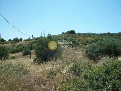 Professional Plot 38600m<sup>2</sup> for sale photo 4