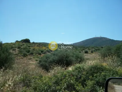 Professional Plot 38600m<sup>2</sup> for sale photo 5