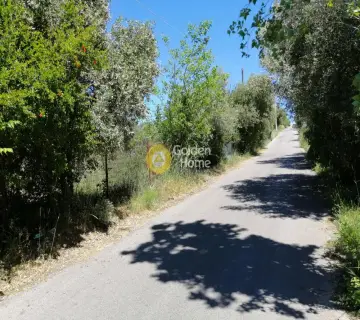 Residential 490m<sup>2</sup> for sale photo 2