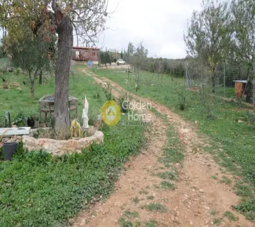 住家 60m<sup>2</sup> for sale photo 11