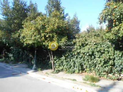 Residential 650m<sup>2</sup> for sale photo 2