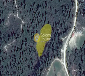 Woodland 4065m<sup>2</sup> for sale photo 1
