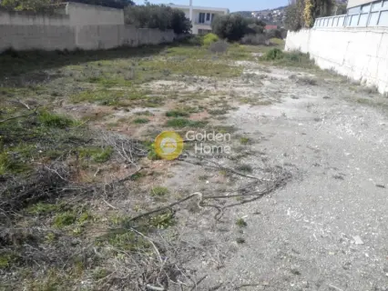 Residential 1000m<sup>2</sup> for sale photo 3