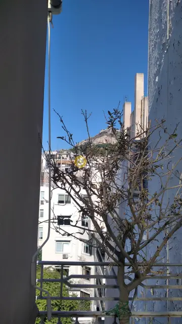 公寓 120m<sup>2</sup> for sale photo 11