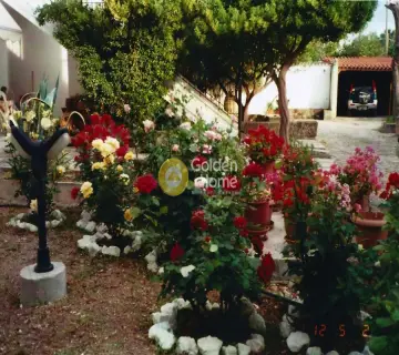 Golden Home Property Image