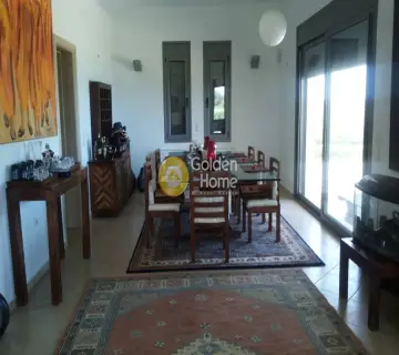 Μονοκατοικία 550τ.μ. προς πώληση φωτογραφία 12