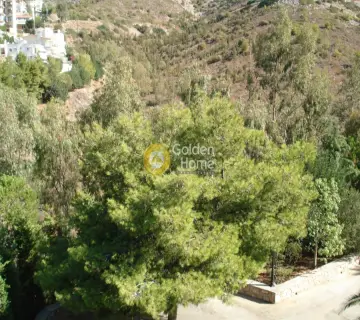 Μονοκατοικία 445τ.μ. προς πώληση φωτογραφία 8