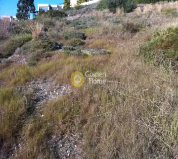 Οικιστικό 400τ.μ. προς πώληση φωτογραφία 4