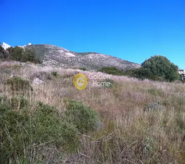 Οικιστικό 400τ.μ. προς πώληση φωτογραφία 6