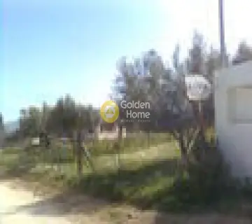 Parcel 560m<sup>2</sup> for sale photo 3