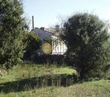 住宅 2000m<sup>2</sup> for sale photo 4