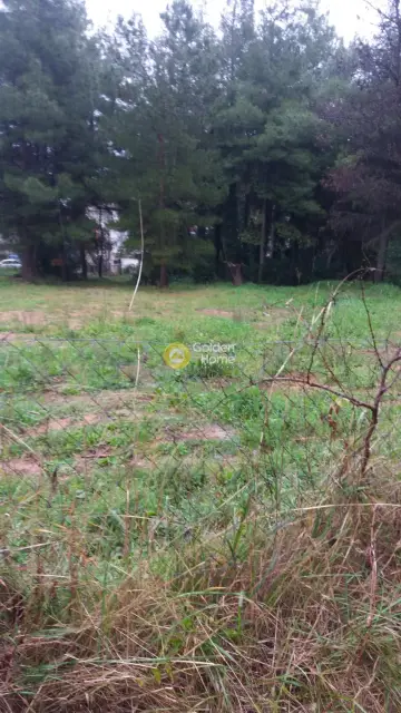Residential 6800m<sup>2</sup> for sale photo 2