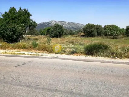 Professional Plot 25000m<sup>2</sup> for sale photo 14