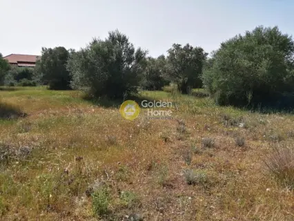 Professional Plot 25000m<sup>2</sup> for sale photo 11