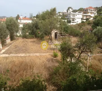 Golden Home Property Image