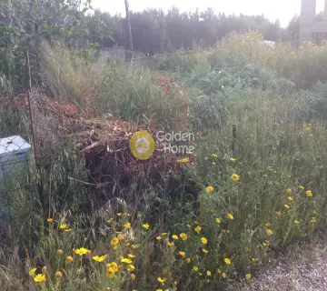 Οικιστικό 395τ.μ. προς πώληση φωτογραφία 3