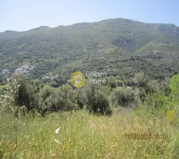 Οικιστικό 510τ.μ. προς πώληση φωτογραφία 4