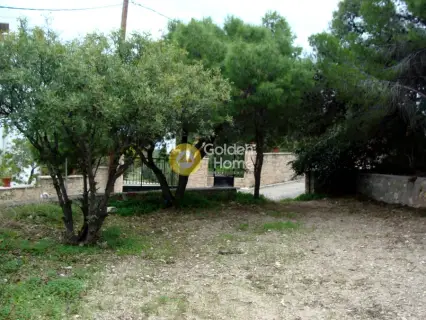 Residential 1080m<sup>2</sup> for sale photo 3