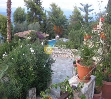 Golden Home Property Image