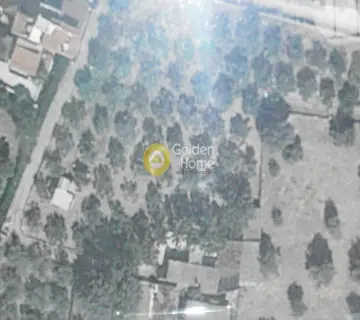Parcel 5000m<sup>2</sup> for sale photo 1