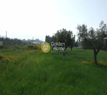 Οικιστικό 3442τ.μ. προς πώληση φωτογραφία 2