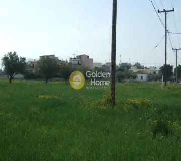 Οικιστικό 3442τ.μ. προς πώληση φωτογραφία 3