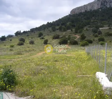 Parcel 21638m<sup>2</sup> for sale photo 1