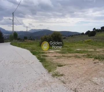 Parcel 21638m<sup>2</sup> for sale photo 3