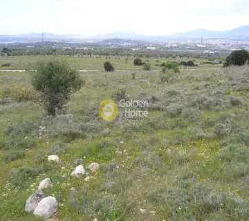 Parcel 21638m<sup>2</sup> for sale photo 11