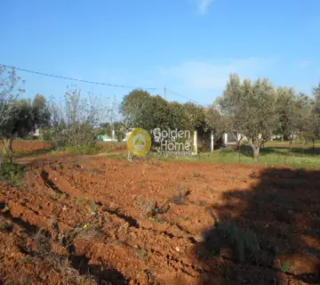 Parcel 3600m<sup>2</sup> for sale photo 6