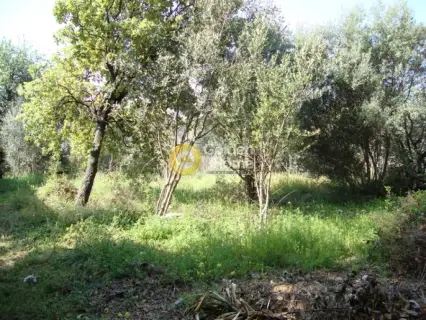Residential 280m<sup>2</sup> for sale photo 1