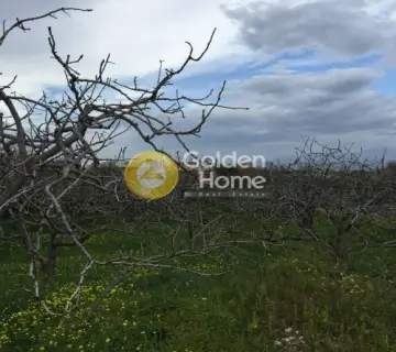 Οικιστικό 800τ.μ. προς πώληση φωτογραφία 3